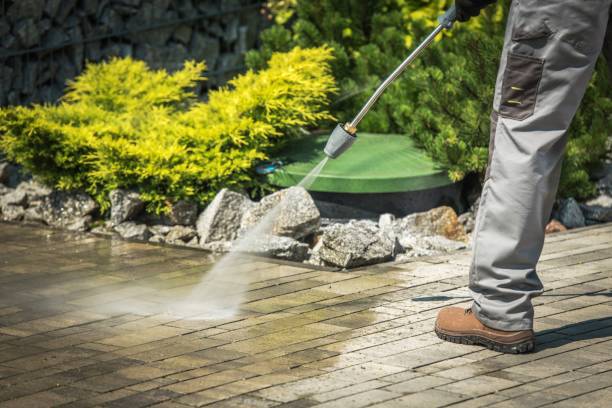 Best House Exterior Washing  in Oak Trail Shores, TX