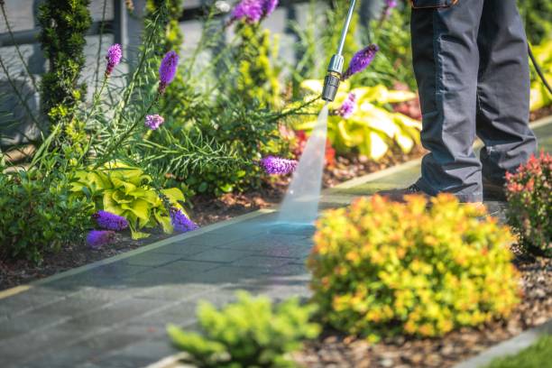 Best Gutter Cleaning  in Oak Trail Shores, TX
